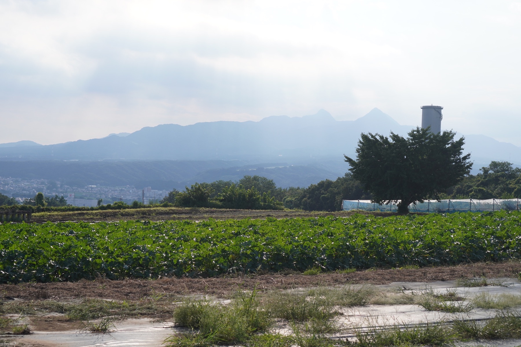 施設周辺に広がる畑と山並みの風景